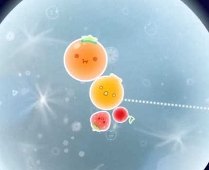 黄色いフルーツの下に、種のあるいちごと丸いさくらんぼが隣り合っている